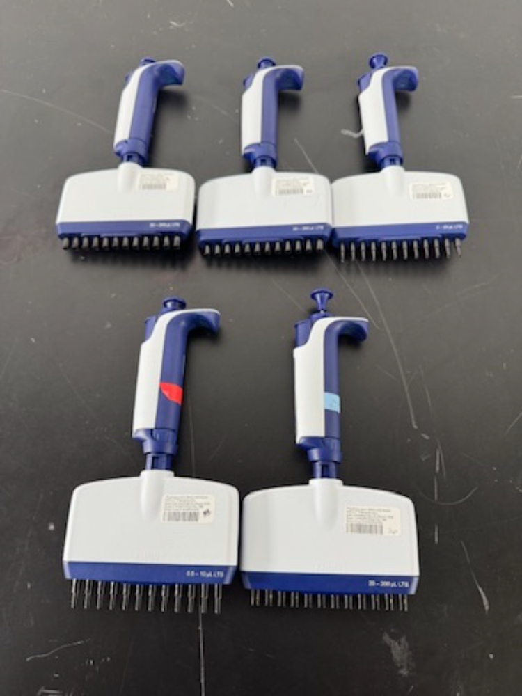 Image of Rainin Pipet-Lite XLS Multichannel Pipettes - Quantity 5